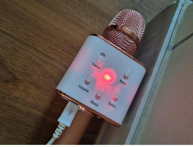 Bluetooth Mini Mic with Speaker for Home & Party Use